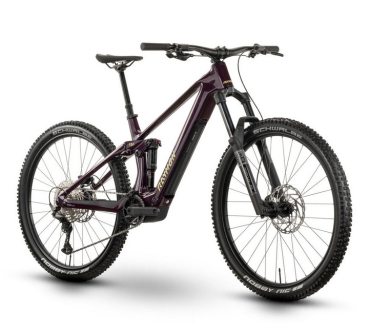 E-Bike Pedelec Raymon "Airok Comp" - floridplum/sulfur